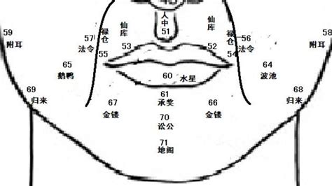 鼻子相|麦玲玲面相讲座之 鼻子 – 人相学